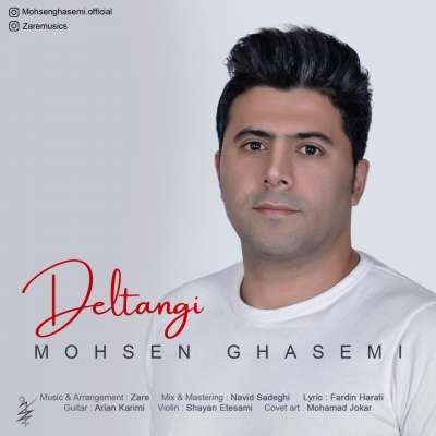 محسن قاسمی دلتنگی